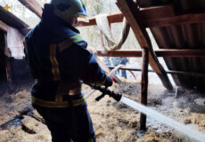 У селі на Шепетівщині ліквідували пожежу в житловому будинку