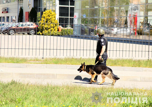 На Хмельниччині 25 службових собак допомогли розкрити майже пів тисячі злочинів