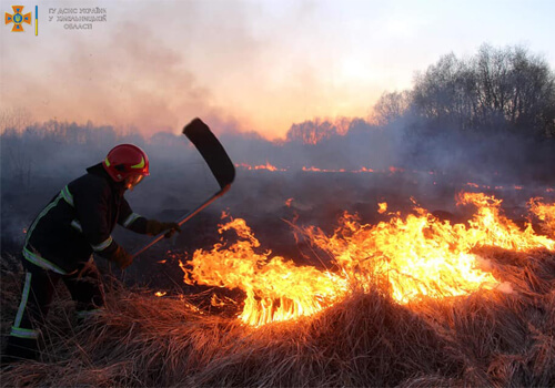 На Полонщині надзвичайники врятували 40 га кукурудзи, але 20 га згоріло вщент