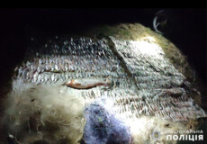На Хмельниччині вночі спіймали браконьєрів, які виловили риби на суму майже 820 тисяч гривень