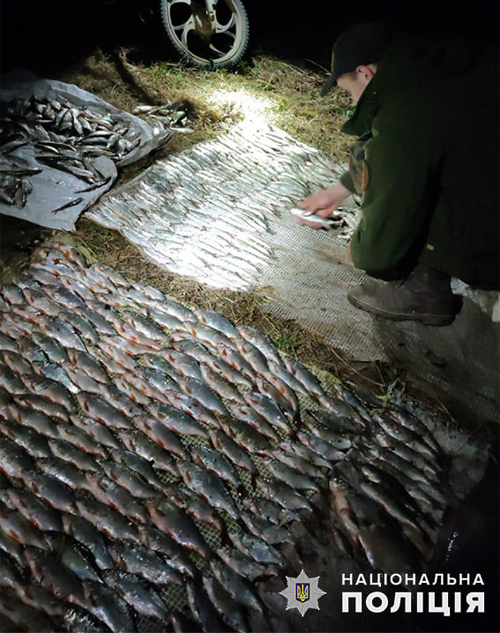 На Хмельниччині вночі спіймали браконьєрів, які виловили риби на суму майже 820 тисяч гривень