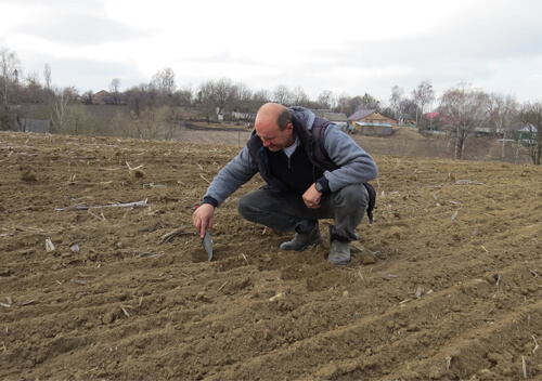 На Шепетівщині триває посівна: 80 відсотків озимих у задовільному стані