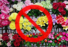 В Ізяславі просять громаду не нести на кладовища штучні квіти