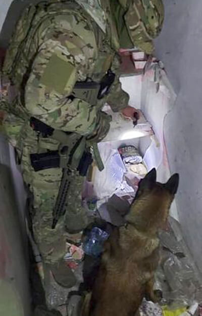 Службові собаки — надійна підмога українським гвардійцям