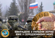 Окупанти вивозять з України зерно, соняшник та овочі