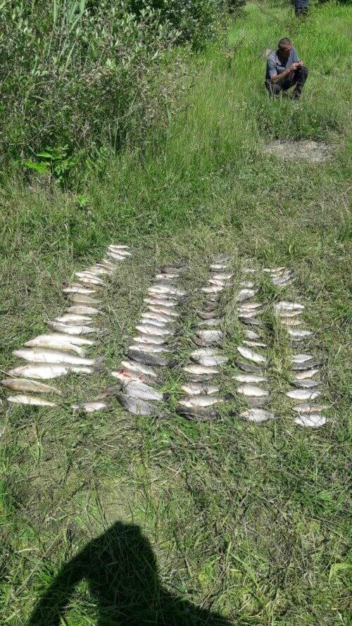За риболовлю на річці Случ браконьєри сплатять штраф та збитки, заподіяні навколишньому середовищу