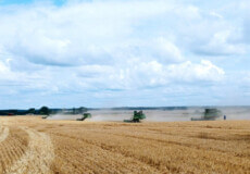 На Шепетівщині повністю зібрали врожай чотирьох ранніх зернових