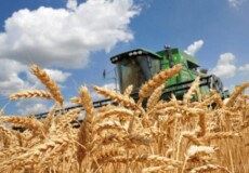 Агроформування Хмельниччини намолотили перший мільйон тонн зерна нового урожаю