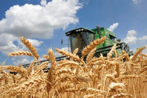 Агроформування Хмельниччини намолотили перший мільйон тонн зерна нового урожаю