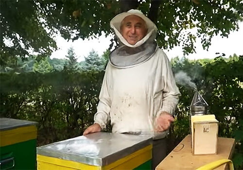 Пе­ре­се­ле­нець від­ро­див па­сі­ку од­но­го з ліс­госпів Хмель­нич­чи­ни: очі­ку­ють ре­кор­дний «уро­жай» ме­ду