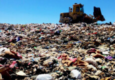 Як впливає пластикове сміття на довкілля?