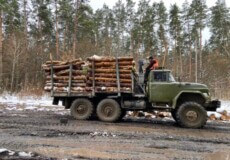 Лісівники Хмельниччини цьогоріч реалізували 200 тисяч кубометрів дров