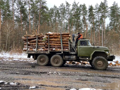 Лісівники Хмельниччини цьогоріч реалізували 200 тисяч кубометрів дров