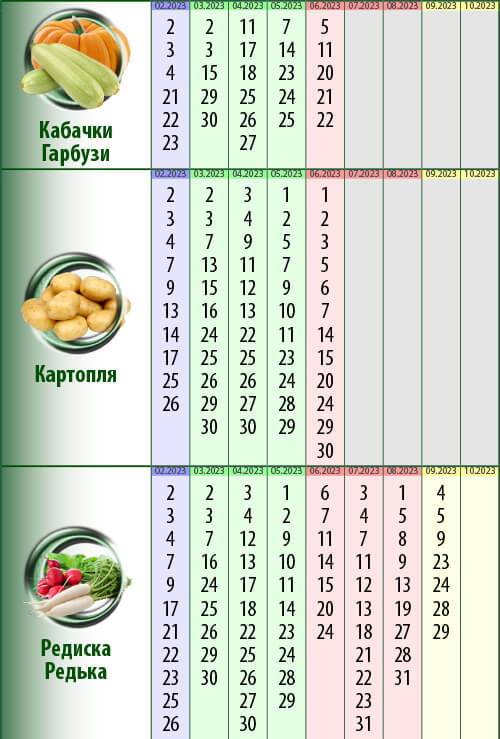 Посівний календар: кабачки (гарбузи), картопля, редиска (редька), морква (буряк), кавуни (дині)