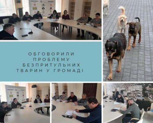За 2 роки до Славутської міської лікарні звернулися 65 мешканців, яких покусали собаки