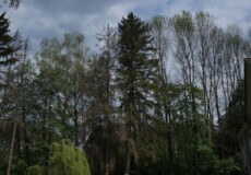 На Хмельниччині парк-пам’ятку садово-паркового мистецтва вартістю 16 млн грн було передано для ведення ОСГ