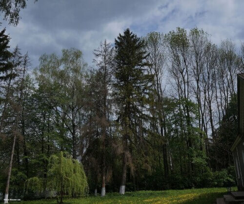 На Хмельниччині парк-пам’ятку садово-паркового мистецтва вартістю 16 млн грн було передано для ведення ОСГ