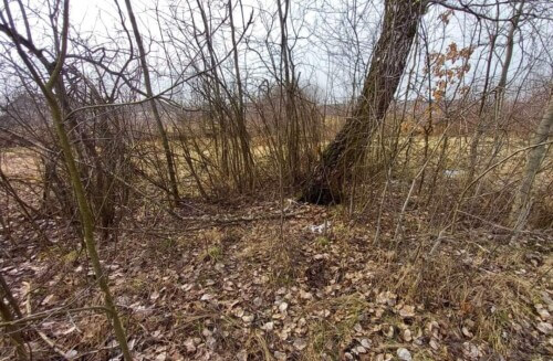 У сусідній із Хмельниччиною області у чагарниках виявили дитину: ноги і руки були зв’язані скотчем