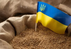 Загроза мін та російських обстрілів: як працює український «зерновий коридор»