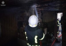 Під час пожежі на Хмельниччині згоріли 14 цуценят