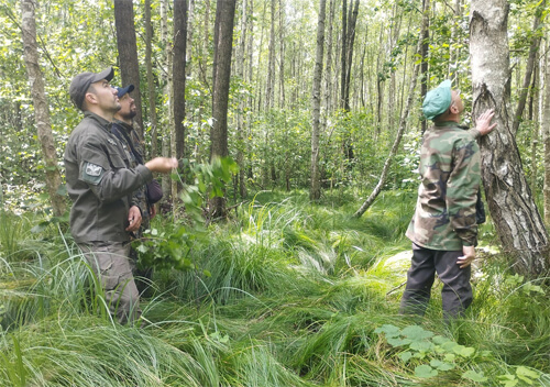 На Шепетівщині команда науковців обстежила лісові масиви «Кряжова Буда»