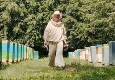 Бджоляр із Донеччини відновив пасіку лісництва на Хмельниччині