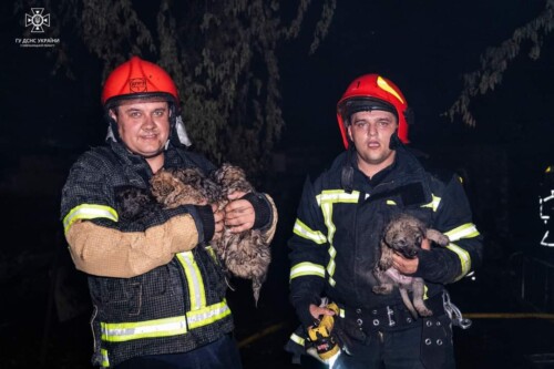 У Хмельницькому горів ресторанний комплекс