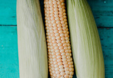 Вирощування кукурудзи: поради фермерам-початківцям