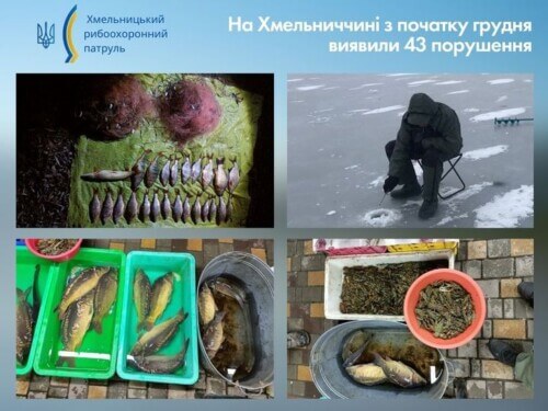 На Хмельниччині вилучили майно, на яке не знайшлося господарів