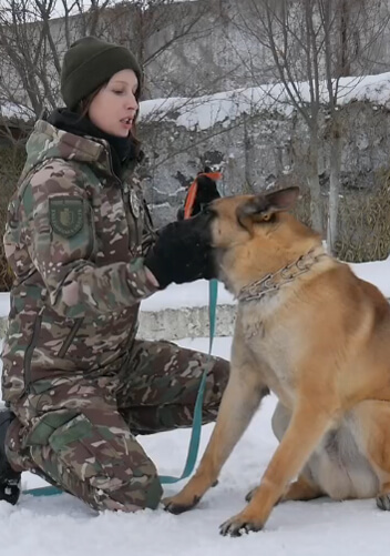 Кінологиня із Хмельниччини розповіла, як допомогти домашнім улюбленцям пережити вибухи