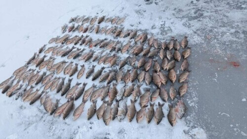 На Хмельниччині затримали громадян, які виловлювали рибу під кригою