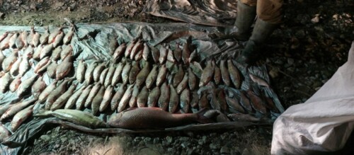 У браконьєра з Хмельниччини вилучили не лише рибу, а й автівку та алюмінієвий човен