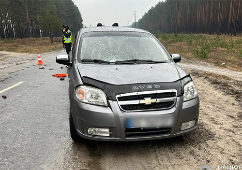 На Шепетівщині під колеса авто потрапила 60-річна жінка