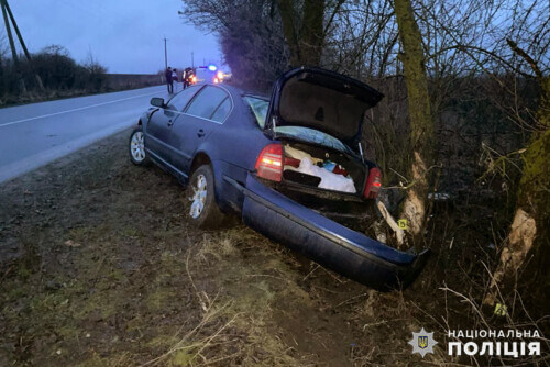 На Хмельниччині під час зіткнення з деревом постраждала водійка з Тернополя та її двоє пасажирів