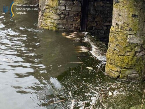 На Хмельниччині загинули кілька сотень екземплярів водних біоресурсів