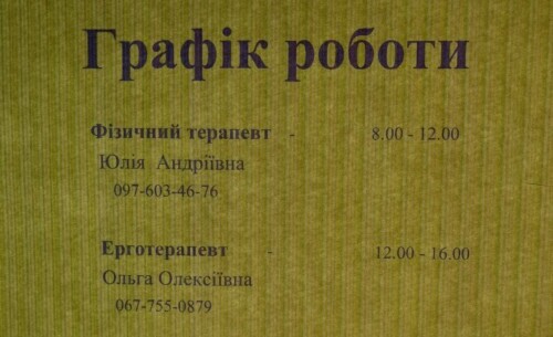Малюкам у Славуті реабілітаційну допомогу надає ерготерапевт та фізичний терапевт