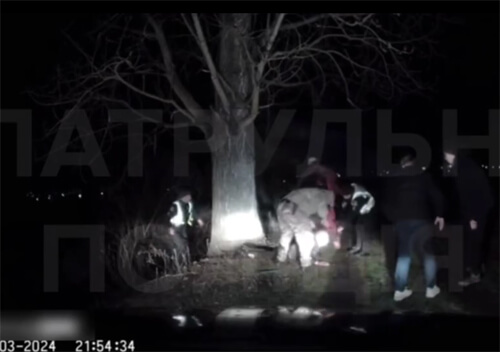 На Хмельниччині, щоб врятувати літнього чоловіка, викликали кінологів