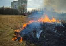 Сезон пожеж: рятувальники закликають не спалювати суху траву