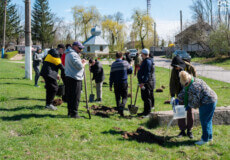 На Шепетівщині громада висадила понад 100 дерев на честь загиблих Героїв