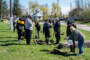 На Шепетівщині громада висадила понад 100 дерев на честь загиблих Героїв