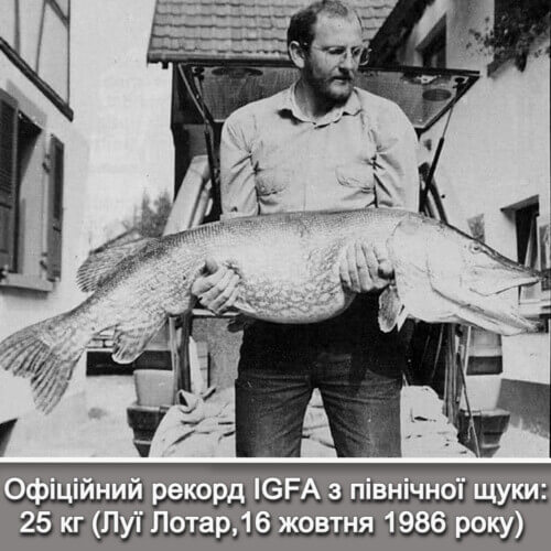 Важила вона 140 кг, а довжина її була 5,7 м: Хмельницький рибгосп розвіює міфи про зубасту легенду