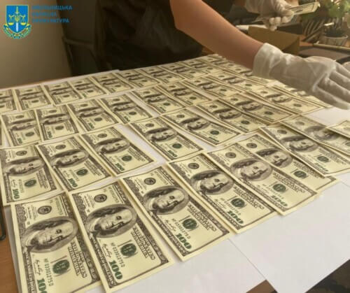 Експосадовиця Служби у справах дітей Хмельниччини отримала новий вирок