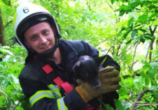 На Хмельниччині собака потрапив у Смотрицький каньйон