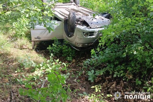 У ДТП поблизу Славути потрапила шепетівчанка