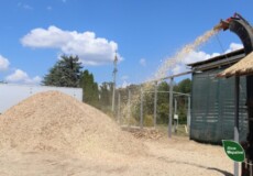 Екологічне та недороге тепло пропонують лісівники на Хмельниччині 