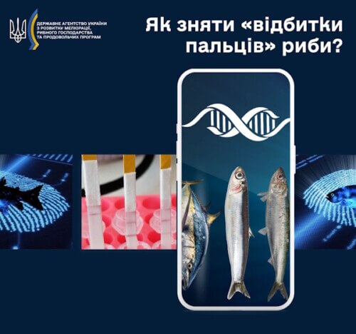 Як зняти відбитки пальців риби?