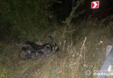 На Хмельниччині загинула 42-річна мотоциклістка