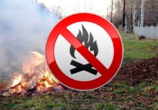 Які штрафи чекають мешканців Шепетівщини за спалювання сухостою