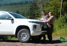 На Хмельниччині зменшилася кількість нелегальних лісових рубок: з чим це пов’язано