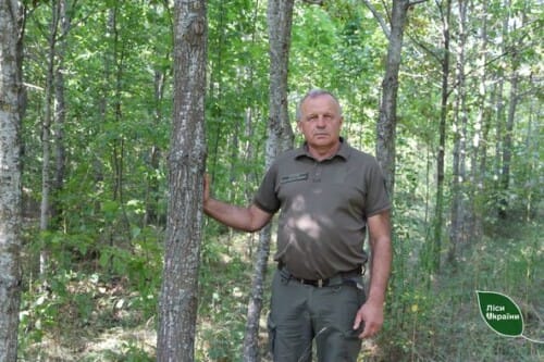 Хмельниччині передали понад 380 га «нічийних» лісів